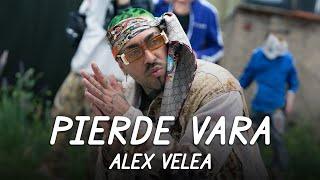 Alex Velea - Pierde Vara  Lyric Video