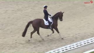 Ingrid Klimke  Geraldine  Louisdor-Preis  Horses & Dreams meets Austria