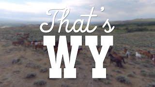 Thats WY  Saratoga Resort Responds to Wyoming Tourism Campaign