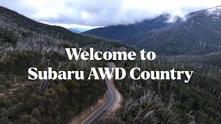 Subaru AWD Country- Falls Creek