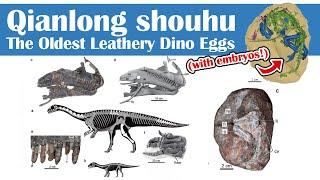 Qianlong shouhu the Oldest Leathery Dinosaur Eggs