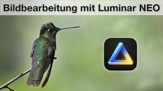 Luminar Neo - Bildbearbeitung für die Natur- und Tierfotografie