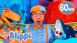 Blippi Plays Games In His Clubhouse - Blippi  Educational Videos for Kids