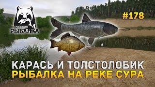 Карась и Толстолобик. Рыбалка на реке Сура - Русская Рыбалка 4 #178