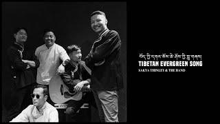 TIBETAN EVERGREEN SONG MASHUP 2.0  2024  SAKYA THINLEY KALDEN 