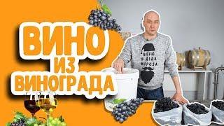 Как сделать домашнее вино из винограда? Простой рецепт вина в домашних условиях