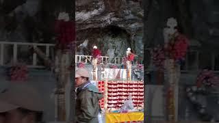 आज के दर्शन  कबूतर का जोडा  Amarnath gufa 2024 