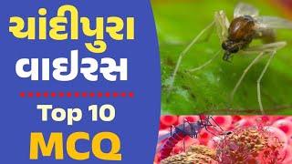 ચાંદીપુરા રોગ વિશેના ટોપ 10 પ્રશ્નો  Chandipura Virus Top 10 Questions  gkguru