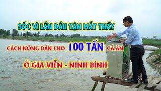 Mô hình nuôi cá nước ngọt ứng dụng chế phẩm sinh học xử lý nguồn nước  Kỹ thuật nuôi cá nước ngọt