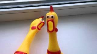 Screaming chicken