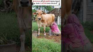 Earn Lakhs With Dairy Farm Business  #shorts #dairy