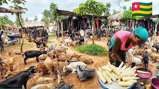 Rural village market day in Togo west Africa. The cost of living in an African village.