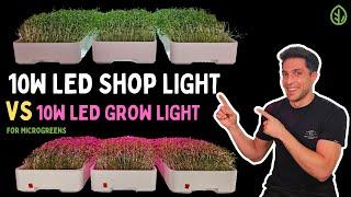 Microgreen Lighting 10W Shop Light vs. 10W Grow Light for Broccoli Microgreens  On The Grow