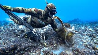 Spearfishing and Octopus Hunting in Hawaii Catch and Cook