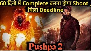 Pushpa 2 - 60 दिनों में पूरी करनी होगी Shooting Team पर दबाव  Allu Arjun  bollywood trip