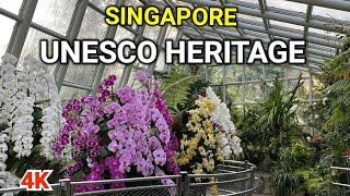 Singapore 4K  Singapore Botanical Garden Tour  Singapore UNESCO World Heritage Sites