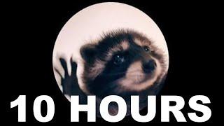 Pedro Pedro Pedro 10 HOURS Raccoon Meme