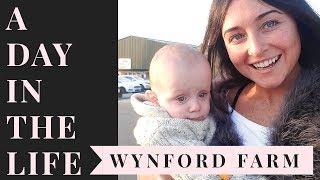 DAY IN THE LIFE OF A YOUNG MUM  WYNFORD FARM