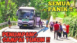 ALLAHUAKBAR bus pariwisata kembali ketenggak di tanjakan brambang