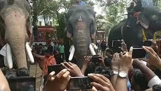 Sivaraju mass entry with ramarajavu