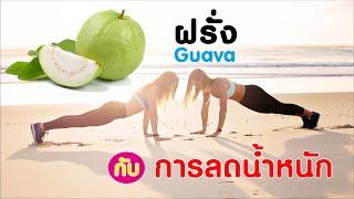 กินฝรั่งช่วยลดน้ำหนัก ผอมได้ไม่ต้องอด ต้านหวัด แก้ท้องผูก Guava