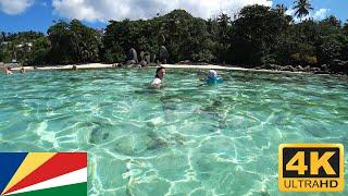 Fairyland Beach Mahé Seychelles