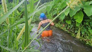 Bermain di sungai mengenang masa kecil