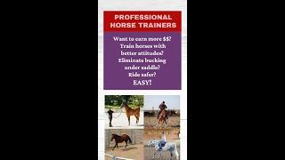ATTN Professional Horse Trainers Want to earn more $$$?  Holistic Horseworks