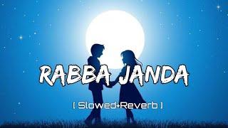 RABBA JANDA Slowed+Reverb  Tanishk Bagchi  Music Slowed Reverb Lofi #lofisong @tseries