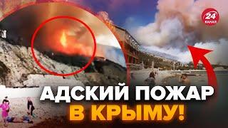 ️СРОЧНАЯ эвакуация из Крыма Пожар в Коктебеле УНИЧТОЖИЛ санатории Люди бегут в УЖАСЕ