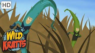 Wild Kratts  The Food Chain Game  Full Episode  Season 1