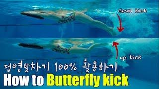 이현진 수영  how to butterfly kick  접영발차기 배우기  접영발차기