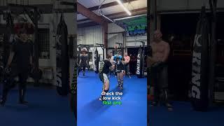 Hook to Counter the Lowkick