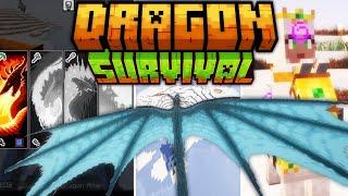 Play as a Dragon  Dragon Survival Guide