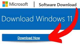 How to Download the Official Windows 11 ISO File Tutorial