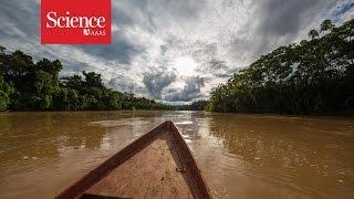 Making contact The isolated tribes of the Amazon rainforest