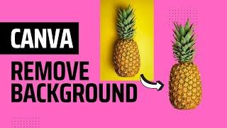 How to remove background in Canva Pro or Free