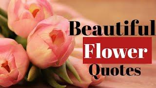Flower Quotes Top 16 Beautiful Flower Quotes  Flower Quotes  Flowers Quotes