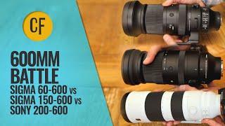 600mm Zoom Battle Sigma 60-600 vs Sigma 150-600 vs Sony 200-600mm