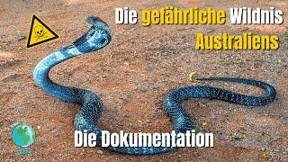 Die gefährliche Wildnis Australiens 2022  Doku  Deutsch