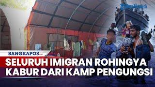 Seluruh Pengungsi Rohingya Kabur dari Tenda Pengungsian Diduga Kabur Menyebar ke Berbagai Wilayah
