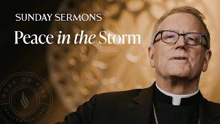 Peace in the Storm - Bishop Barrons Sunday Sermon