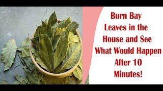 Burn Bay Leaves in the House and See What Would Happen After 10 Minutes