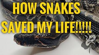 How my snakes saved my life. Can keeping and breeding snakes keep you sober??