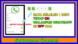 CARA MUDAH MENONAKTIFKAN WHATSAPP UNTUK SEMENTARA TANPA MEMATIKAN DATA SELULER ATAU WIFI