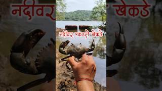 नदीवर पकडले खेकडे   #kokan #malvani #minivlog