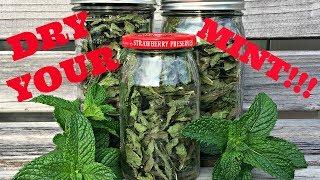 How To Dry Mint - Dehydrator NOT Needed