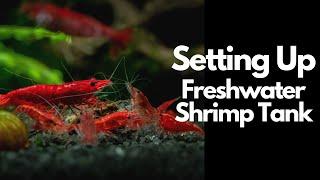 How To Setup A Freshwater Shrimp Tank 