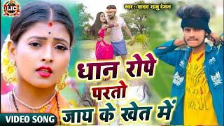 #VIDEOधान रोपे परतो खेत मे#Yadav Raju RanjanDhan Ropani Video SongBhonpuri Video Song