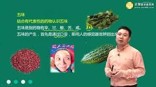 中药学001 中药的性能 中药的作用